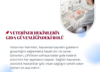 Dünya Gıda Güvenliği Günü