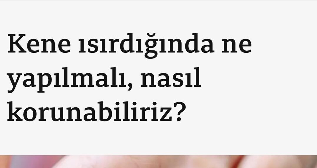 TVHB Bilim Kurulu Üyemiz Prof. Dr. Kürşat Altay BBC Türkçe’ye Kene Konusunda Açıklamalarda Bulundu