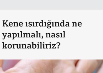 TVHB Bilim Kurulu Üyemiz Prof. Dr. Kürşat Altay BBC Türkçe’ye Kene Konusunda Açıklamalarda Bulundu