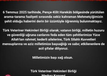 Milletimizin Başı Sağ Olsun