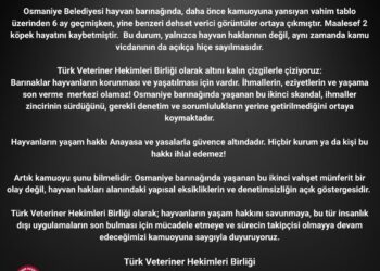 Osmaniye Belediyesine ait Barınakta Yaşanan Olayı Şiddetle Kınıyoruz!