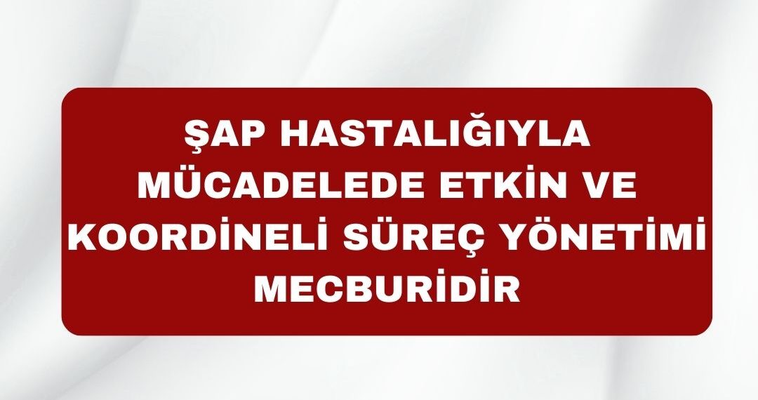 Şap Hastalığıyla Mücadelede Etkin ve Koordineli Süreç Yönetimi Mecburidir