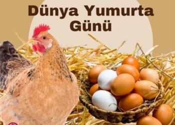 Dünya Yumurta Günü 2025 Basın Açıklaması