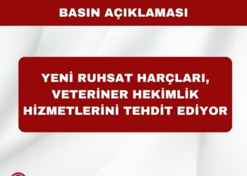 Yeni Ruhsat Harçları, Veteriner Hekimlik Hizmetlerini Tehdit Ediyor!
