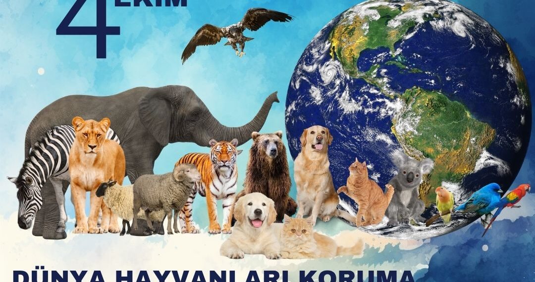 4 EKİM DÜNYA HAYVANLARI KORUMA GÜNÜ BASIN AÇIKLAMASI