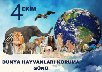 4 EKİM DÜNYA HAYVANLARI KORUMA GÜNÜ BASIN AÇIKLAMASI