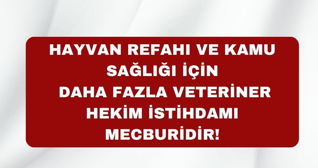 HAYVAN REFAHI VE KAMU SAĞLIĞI İÇİN DAHA FAZLA VETERİNER HEKİM İSTİHDAMI MECBURİDİR!