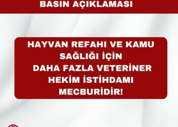 HAYVAN REFAHI VE KAMU SAĞLIĞI İÇİN DAHA FAZLA VETERİNER HEKİM İSTİHDAMI MECBURİDİR!