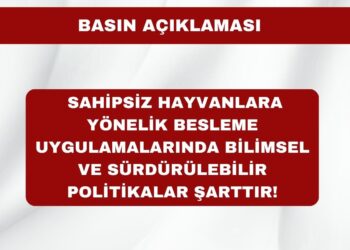 Sahipsiz Hayvanlara Yönelik Besleme Uygulamalarında Bilimsel ve Sürdürülebilir Politikalar Şarttır!