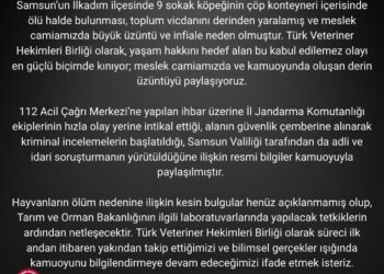 Samsun’da Dokuz Köpeğin Ölü Bulunmasına İlişkin Kamuoyu Açıklaması