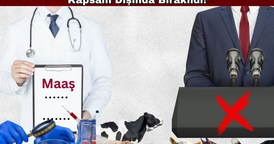 Veteriner Hekimlerin Hakları 375 Sayılı KHK Düzenlemelerinde Kapsam Dışında Bırakıldı!