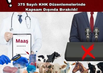 Veteriner Hekimlerin Hakları 375 Sayılı KHK Düzenlemelerinde Kapsam Dışında Bırakıldı!