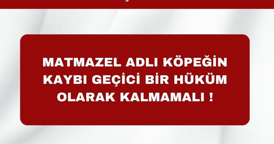 Matmazel Adlı Köpeğin Kaybı Geçici Bir Hüküm Olarak Kalmamalı !