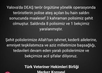 Yalova’daki Hain Saldırıyı Kınıyor; Şehitlerimize Allah’tan Rahmet Diliyoruz