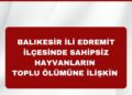 Balıkesir İli Edremit İlçesinde Sahipsiz Hayvanların Toplu Halde Ölü Bulunmasına İlişkin Basın Açıklaması