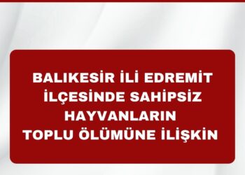 Balıkesir İli Edremit İlçesinde Sahipsiz Hayvanların Toplu Halde Ölü Bulunmasına İlişkin Basın Açıklaması