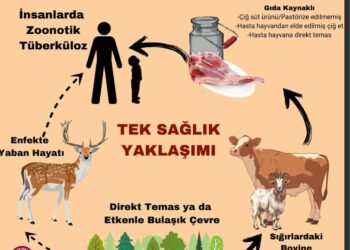 24 Mart Dünya Tüberküloz Günü