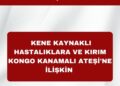 Kene Kaynaklı Hastalıklar ve Kırım Kongo Kanamalı Ateşi Hakkında Basın Açıklaması