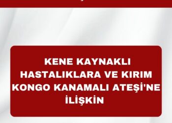 Kene Kaynaklı Hastalıklar ve Kırım Kongo Kanamalı Ateşi Hakkında Basın Açıklaması