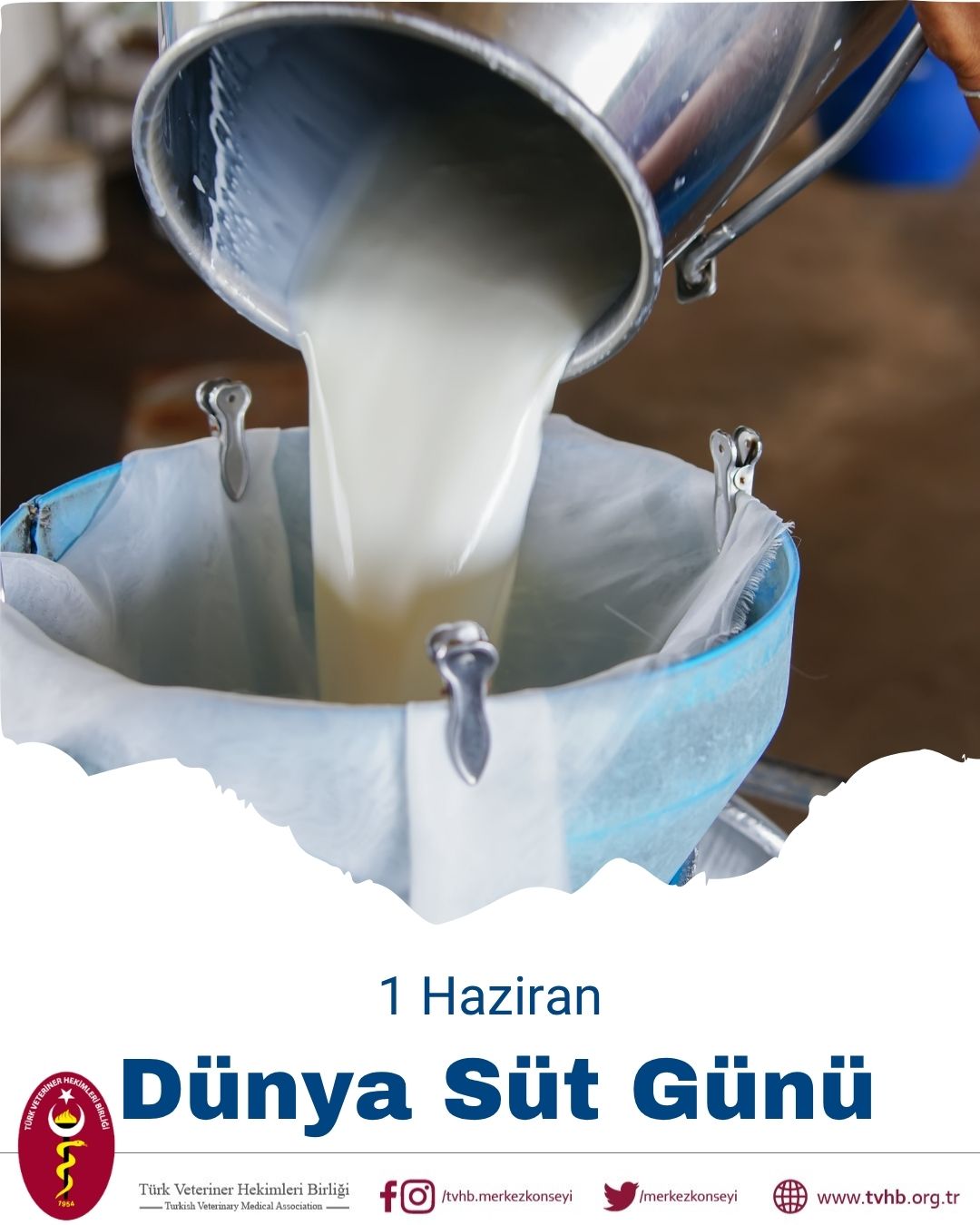 1 Haziran Dünya Süt Günü