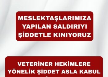 VETERİNER HEKİMLERE YÖNELİK ŞİDDET ASLA KABUL EDİLEMEZ!
