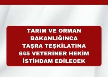 Tarım ve Orman Bakanlığınca  Taşra Teşkilatına 645 Veteriner Hekim İstihdam Edilecek